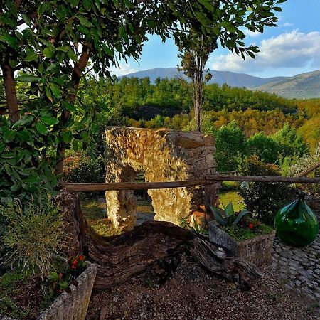 Tenuta Di Vico Moricino Anagni Luaran gambar