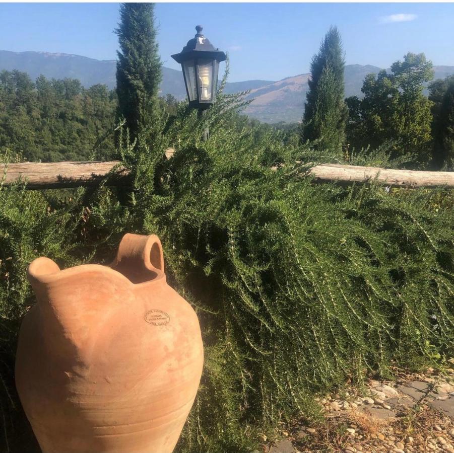 Tenuta Di Vico Moricino Anagni Luaran gambar