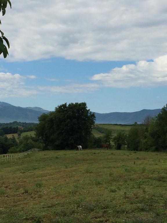Tenuta Di Vico Moricino Anagni Bilik gambar