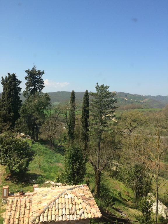 Tenuta Di Vico Moricino Anagni Bilik gambar