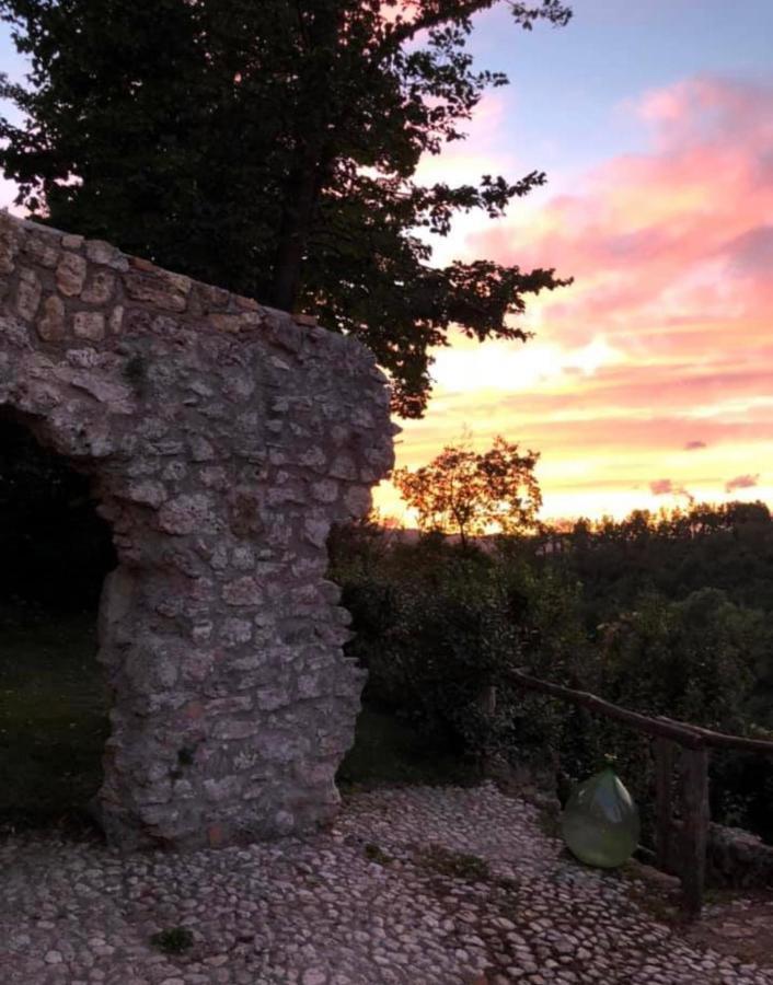 Tenuta Di Vico Moricino Anagni Luaran gambar