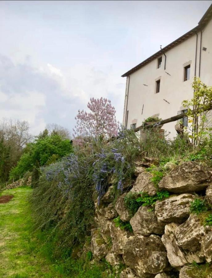 Tenuta Di Vico Moricino Anagni Luaran gambar